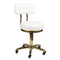 Arbeitshocker Höhenverstellbar mit Lehne AM-961 Gold Weiß