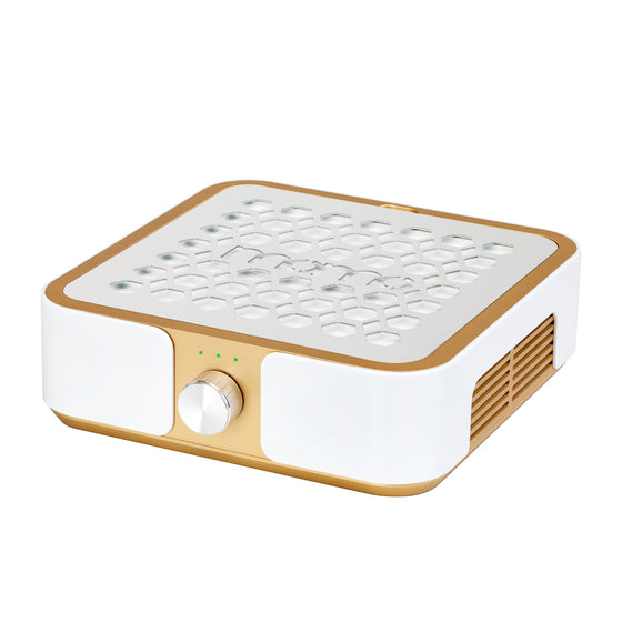 Staubabsauger Nägel Momo P30 60W Gold
